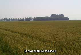 Cadzand aan zee