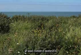 Vakantie aan zee in Cadzand Bad